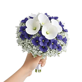 Blossom Petal Serenity