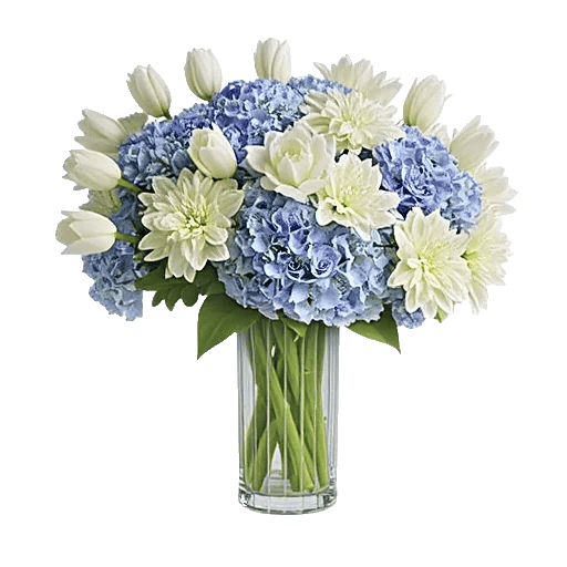 Ivory Blossom Radiance