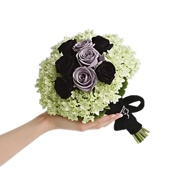 Gothic Dark Roses