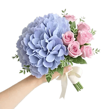 Sapphire Bloom Whisper