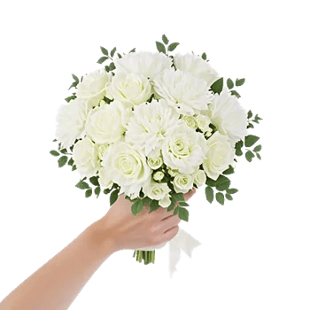 Ivory Garden Grace