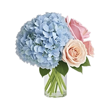 Serene Petal Harmony