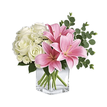 Minimalist White Orchids