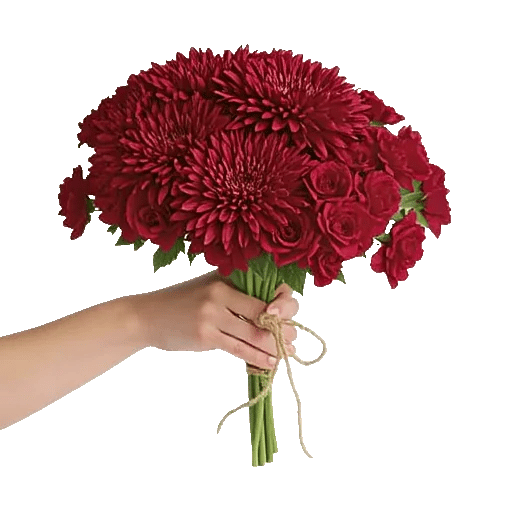 Crimson Blossom Harmony