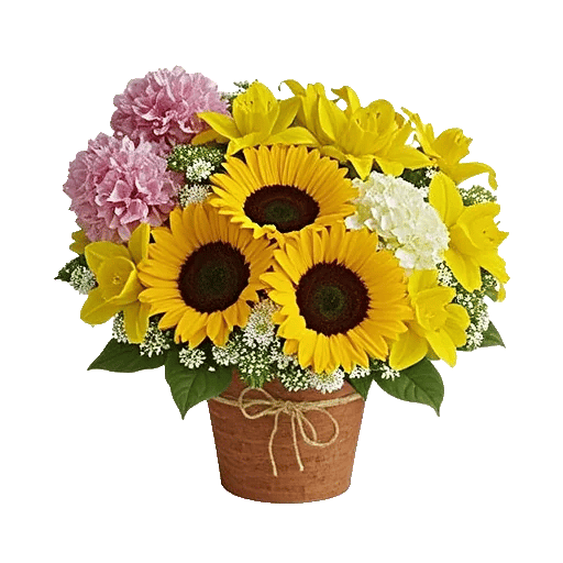 Amber Sunflower Glow