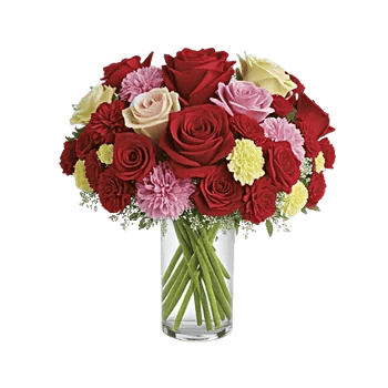 Radiant Rose Symphony