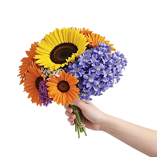 Twinkling Sunflower Dance