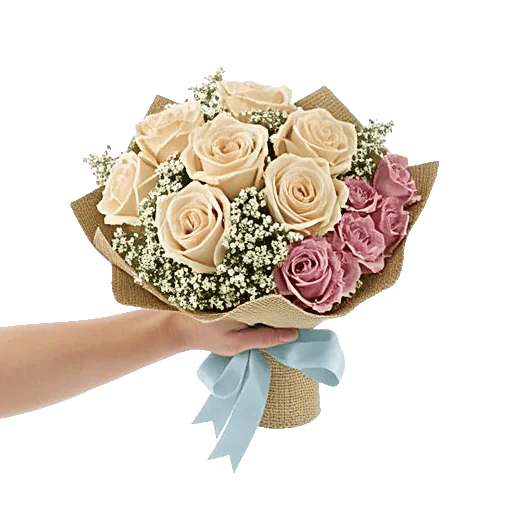 Blushing Rose Symphony