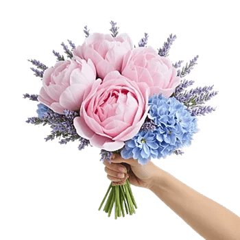 Peony Petal Harmony