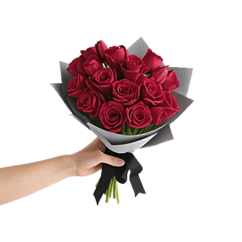 Crimson Rose Elegance