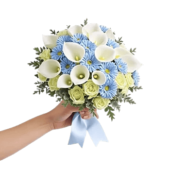 Elegant Calla Lilies