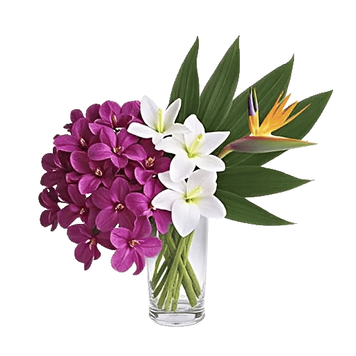 Orchid Bloom Cascade