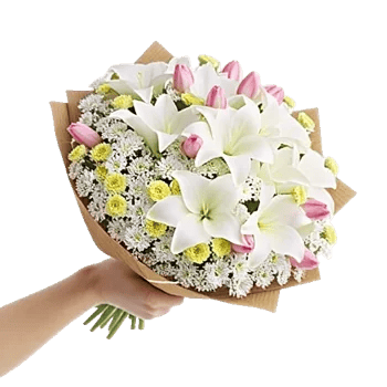Ivory Garden Grace