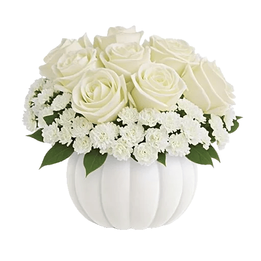 Modern White Orchids