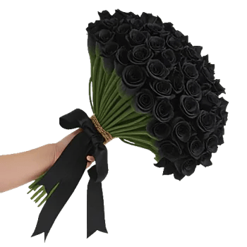 Elegant Calla Lilies