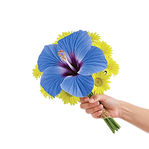 Serene Petal Harmony