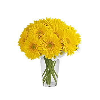 Petal Radiance Bliss
