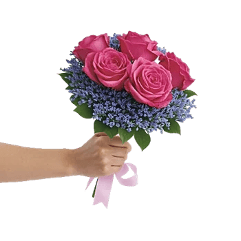 Pastel Pink Roses