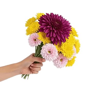 Radiant Bloom Cascade