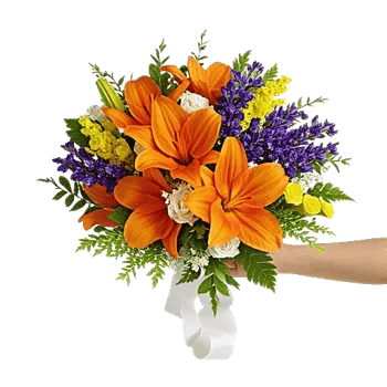 Ivory Blossom Radiance