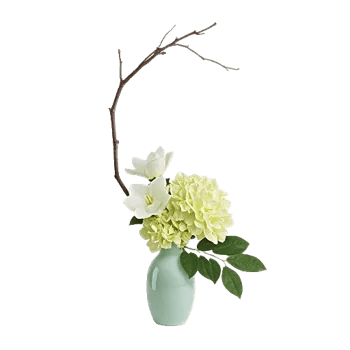 Cherry Blossom Magic