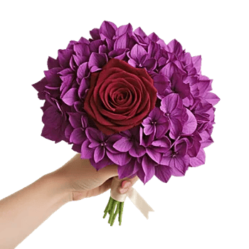 Crimson Rose Elegance