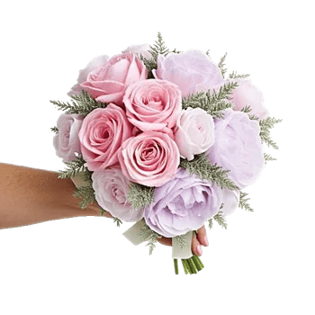 Pastel Pink Roses