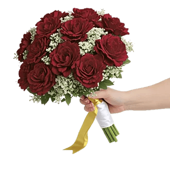 Crimson Rose Elegance