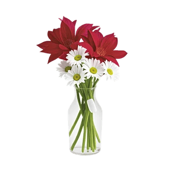 Crimson Blossom Harmony