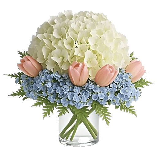 Sapphire Bloom Whisper