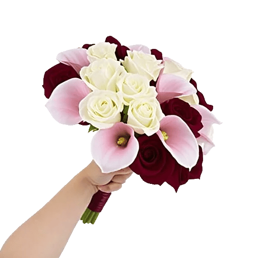 Elegant Calla Lilies