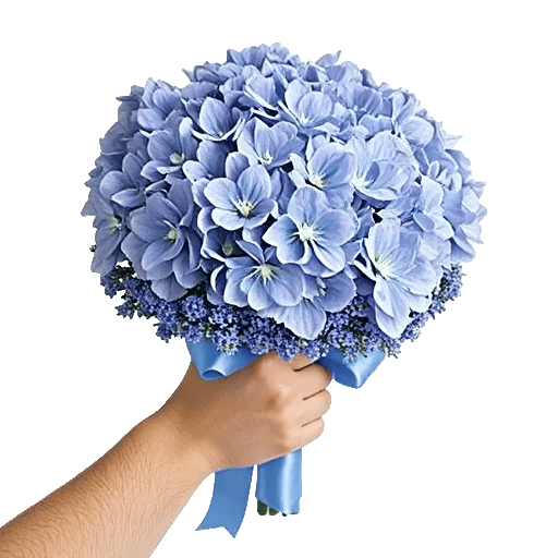 Sapphire Bloom Whisper