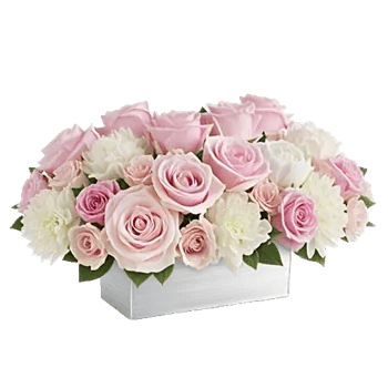 Delicate Petal Cascade