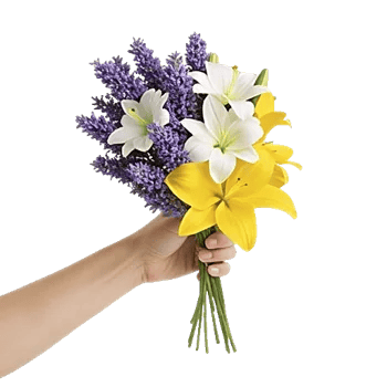 Lavender Bloom Grace