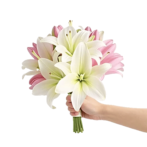 Graceful Lily Display