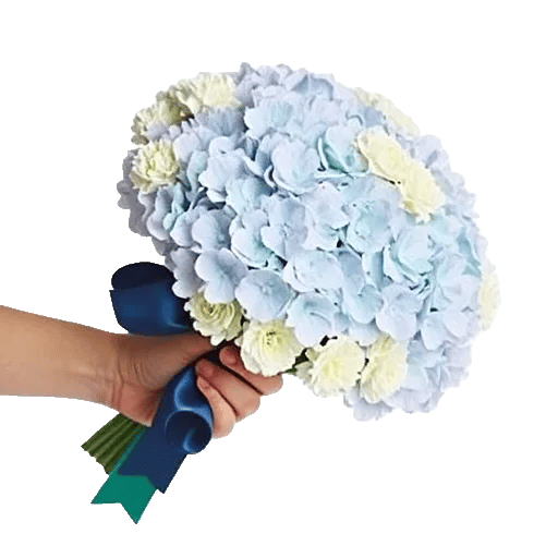 Sapphire Bloom Whisper