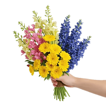 Blossom Harmony Display