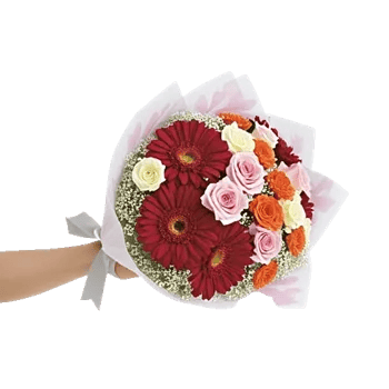 Crimson Rose Elegance