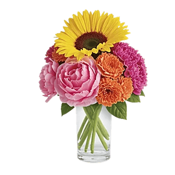 Petal Radiance Bliss
