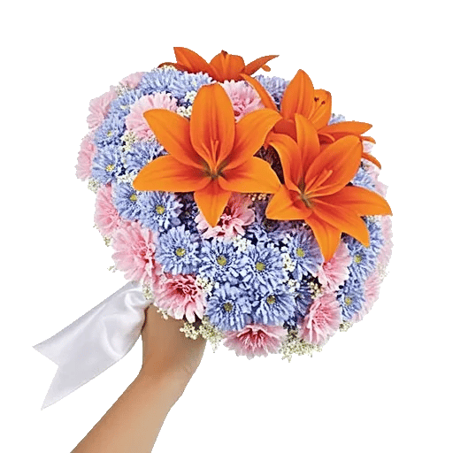 Blushing Rose Symphony