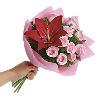 Crimson Rose Elegance