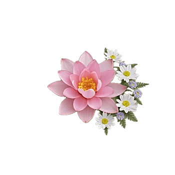 Serenity Orchid Bloom