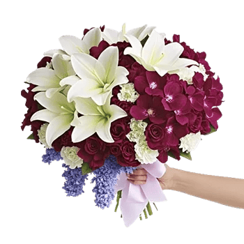 Elegant Calla Lilies