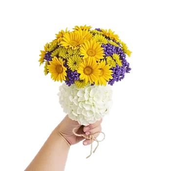 Twinkling Sunflower Dance