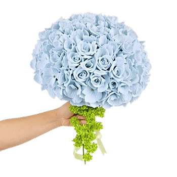 Emerald Bloom Cascade