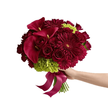 Elegant Calla Lilies