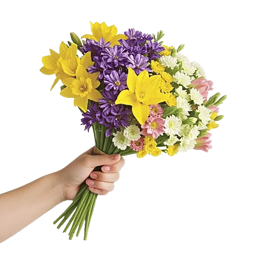 Blossom Harmony Display