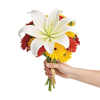 Graceful Lily Display