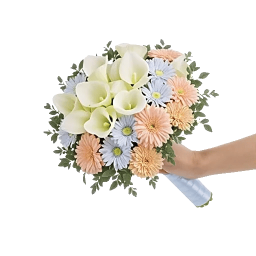 Elegant Calla Lilies