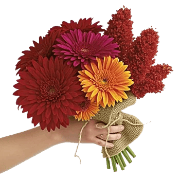 Crimson Blossom Harmony